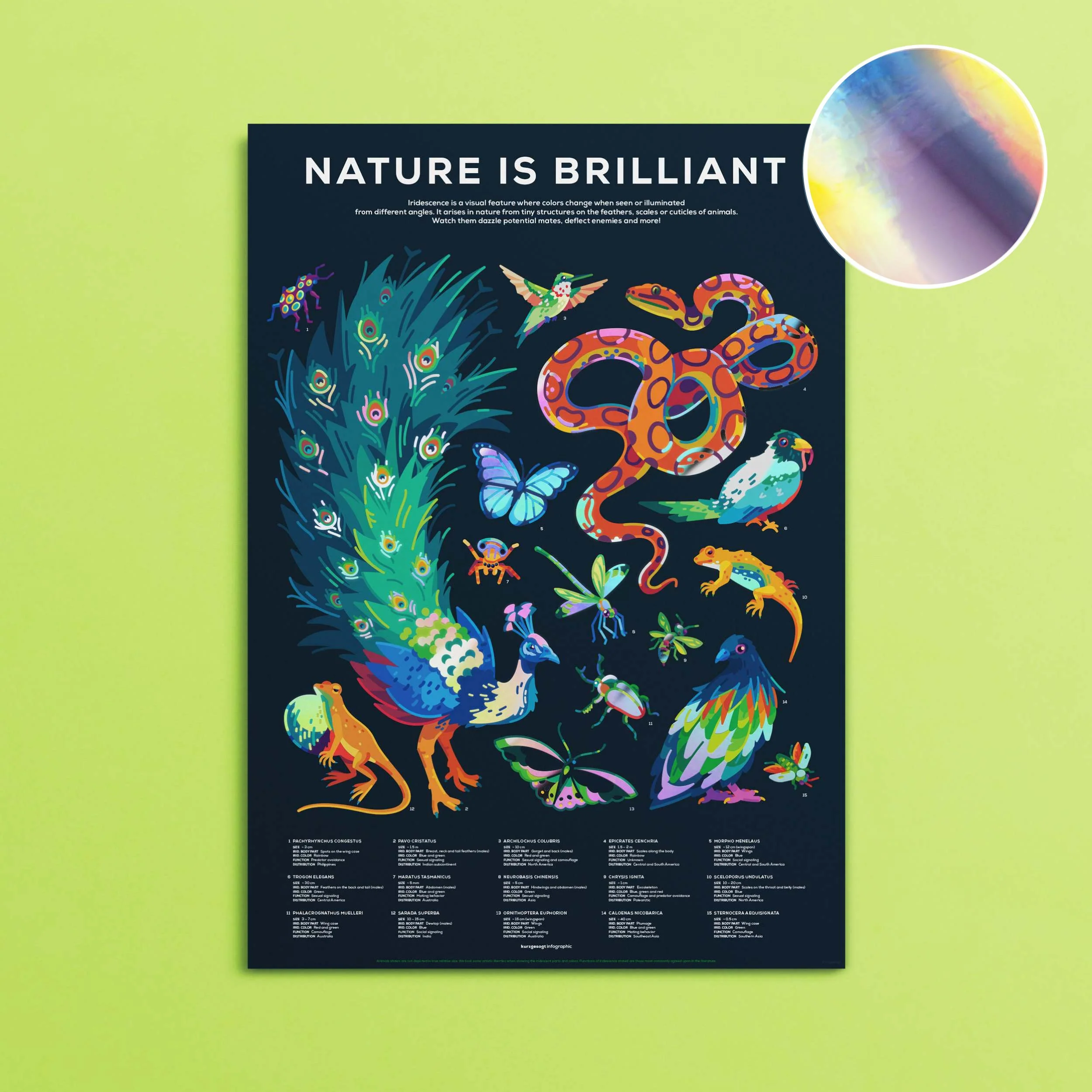 Iridescent Animals Poster