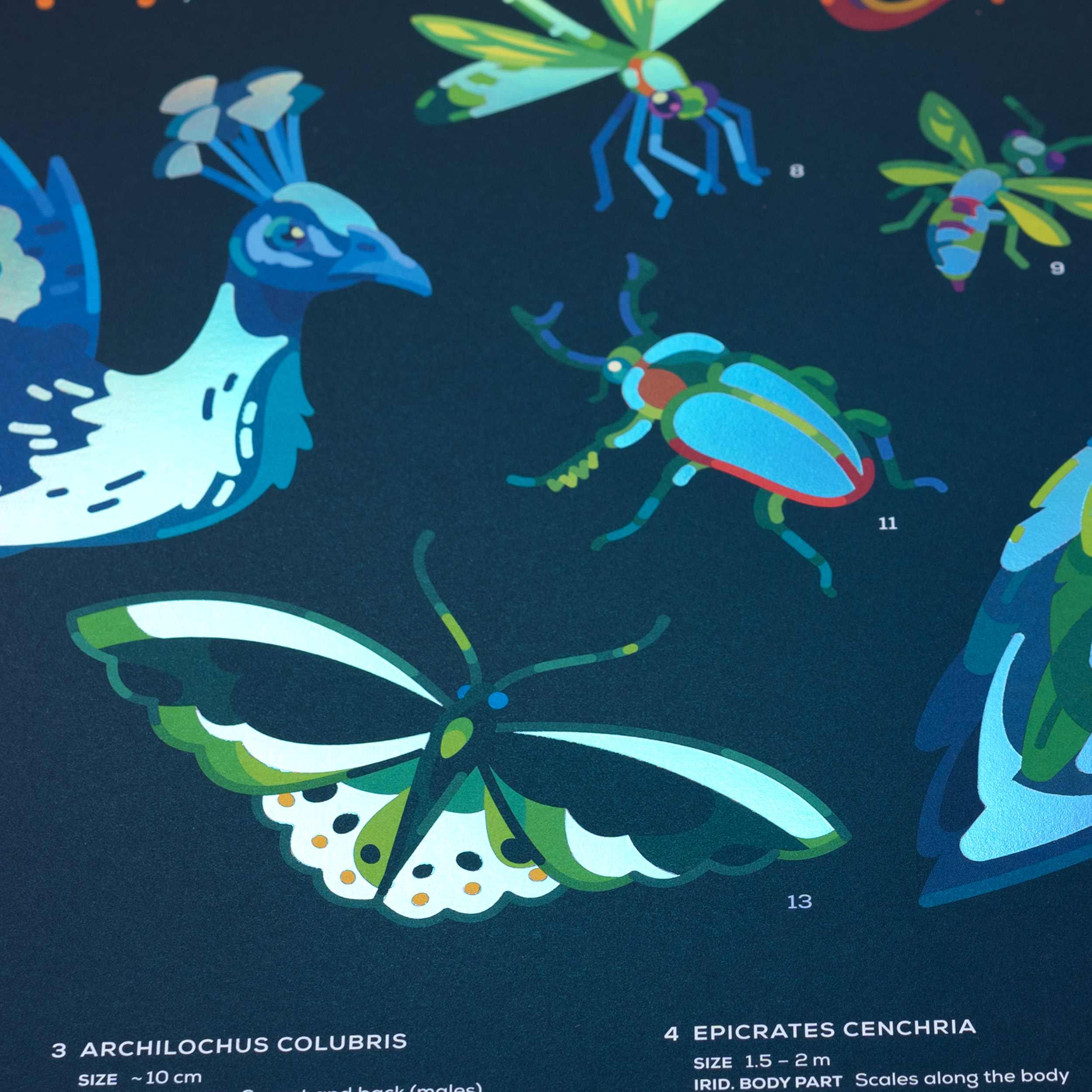 Iridescent Animals Poster - Image 4
