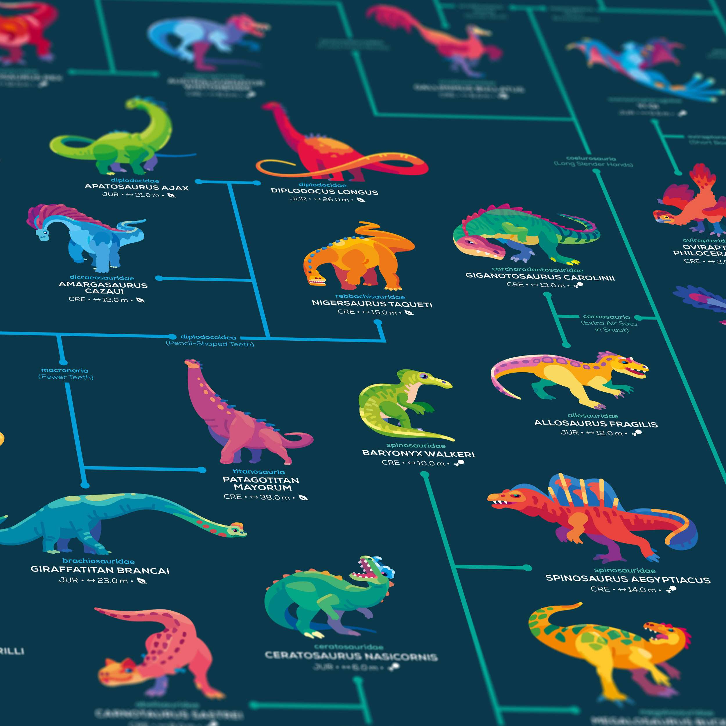 Map of Dinosaur Evolution Poster - Image 2