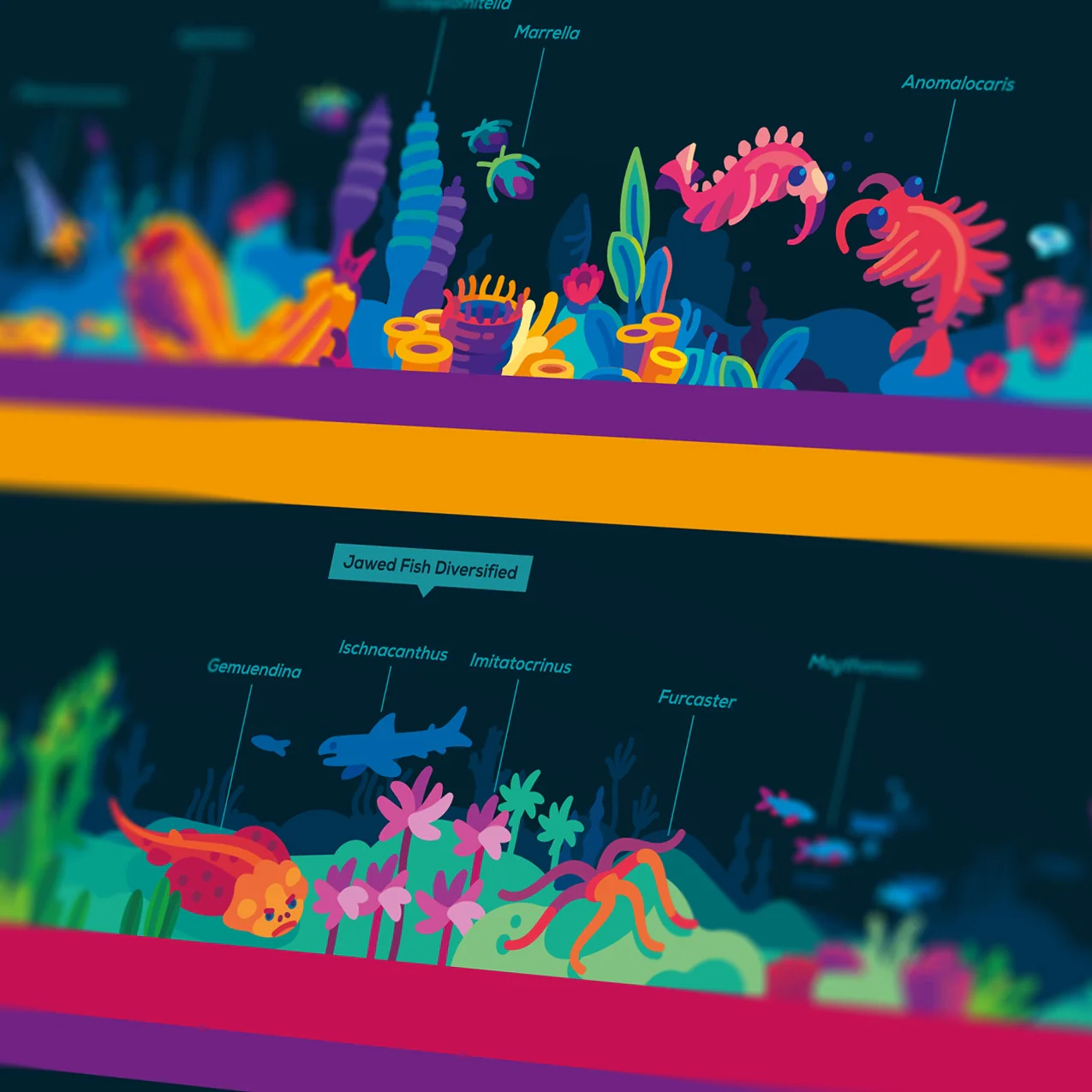 Timeline of Complex Life Poster - Image 3
