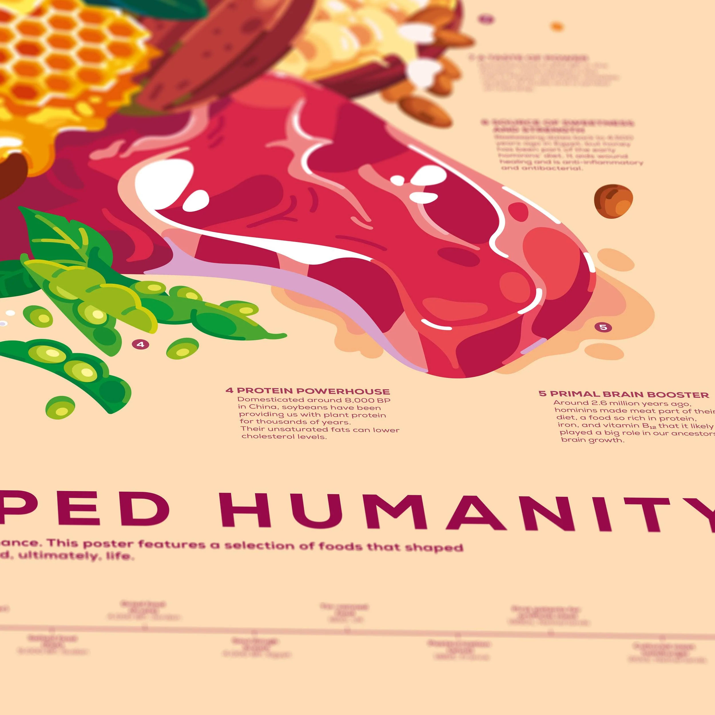 Foods That Shaped Humanity Poster - Image 4