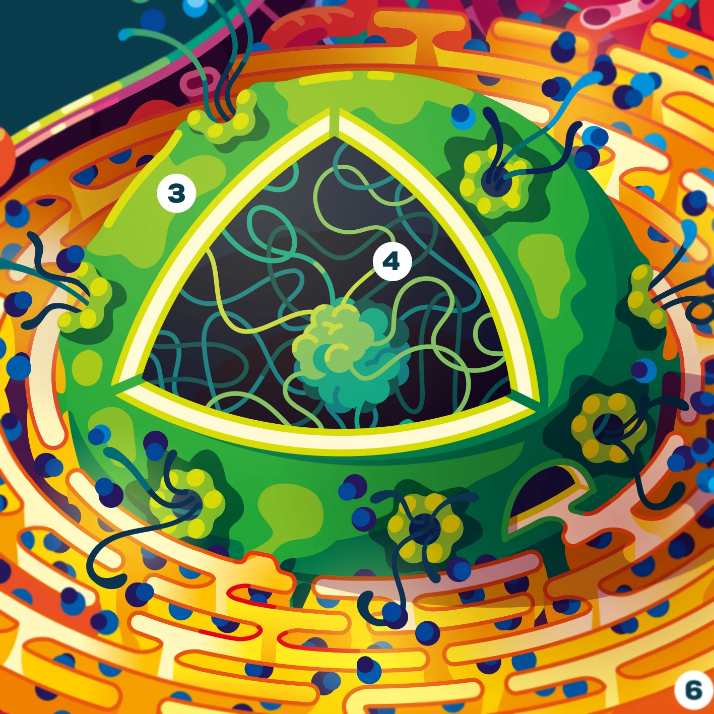 Human Cell Poster - Image 3
