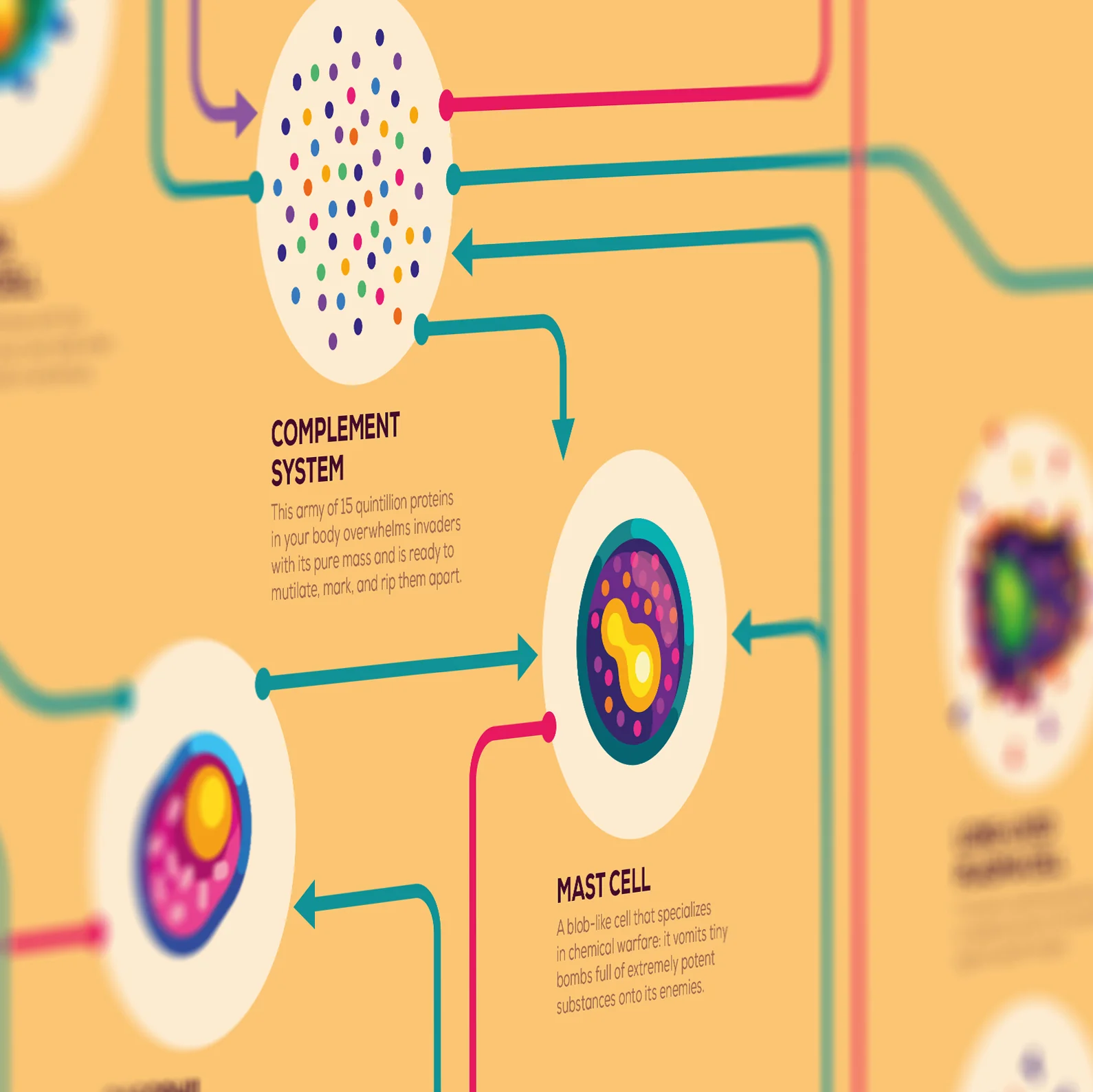 Immune Infographic Poster - Image 3
