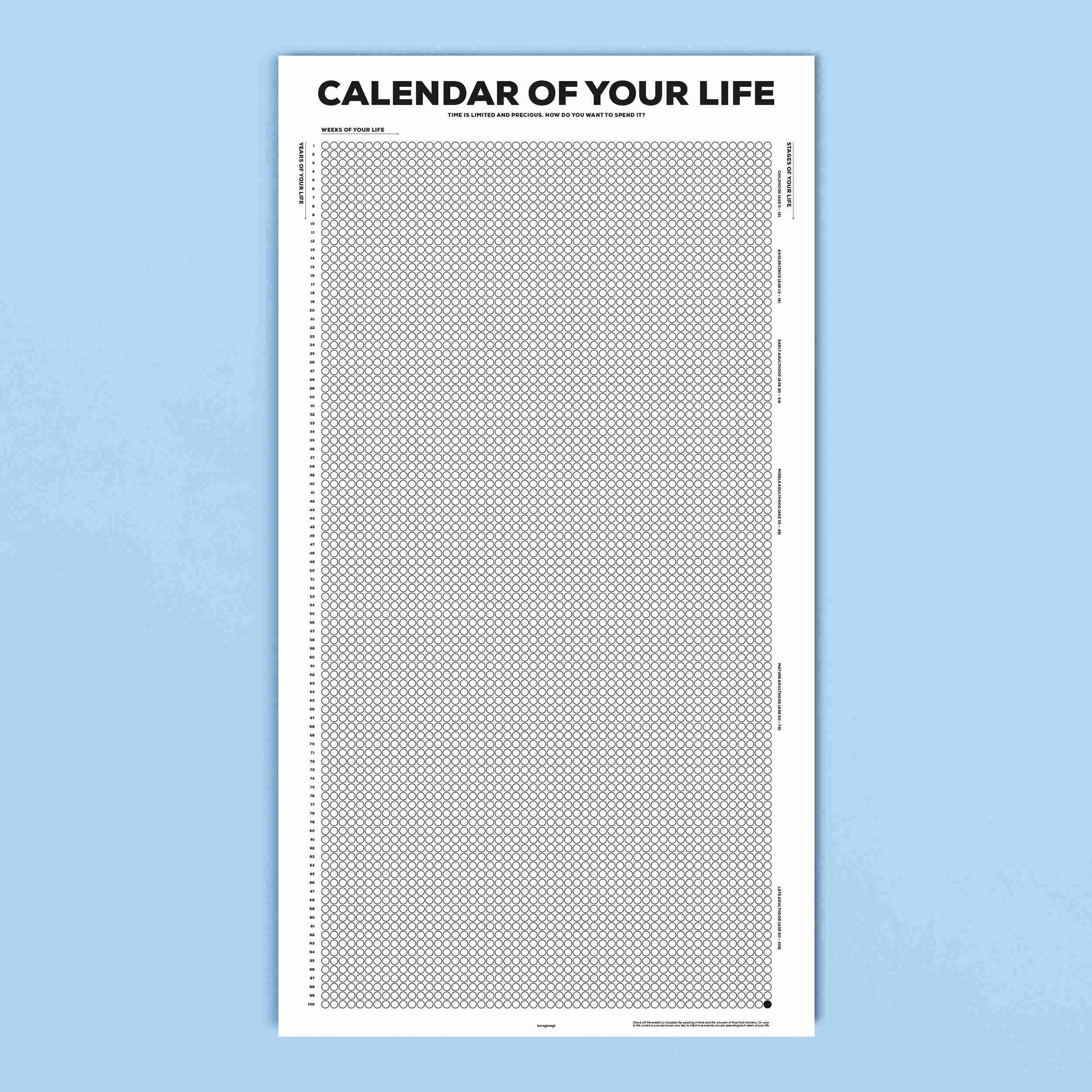 Calendar of Your Life Infographic Poster (B&W)