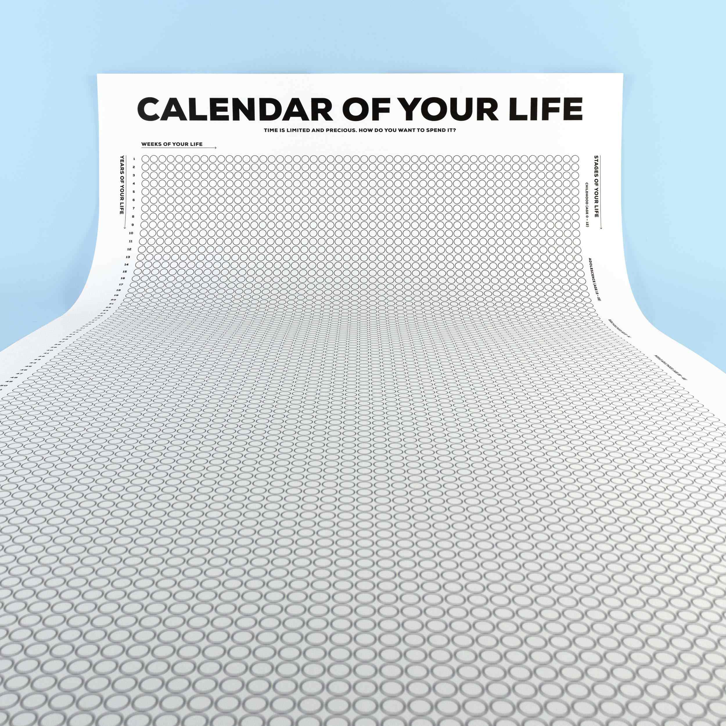 Calendar of Your Life Infographic Poster (B&W) - Image 3