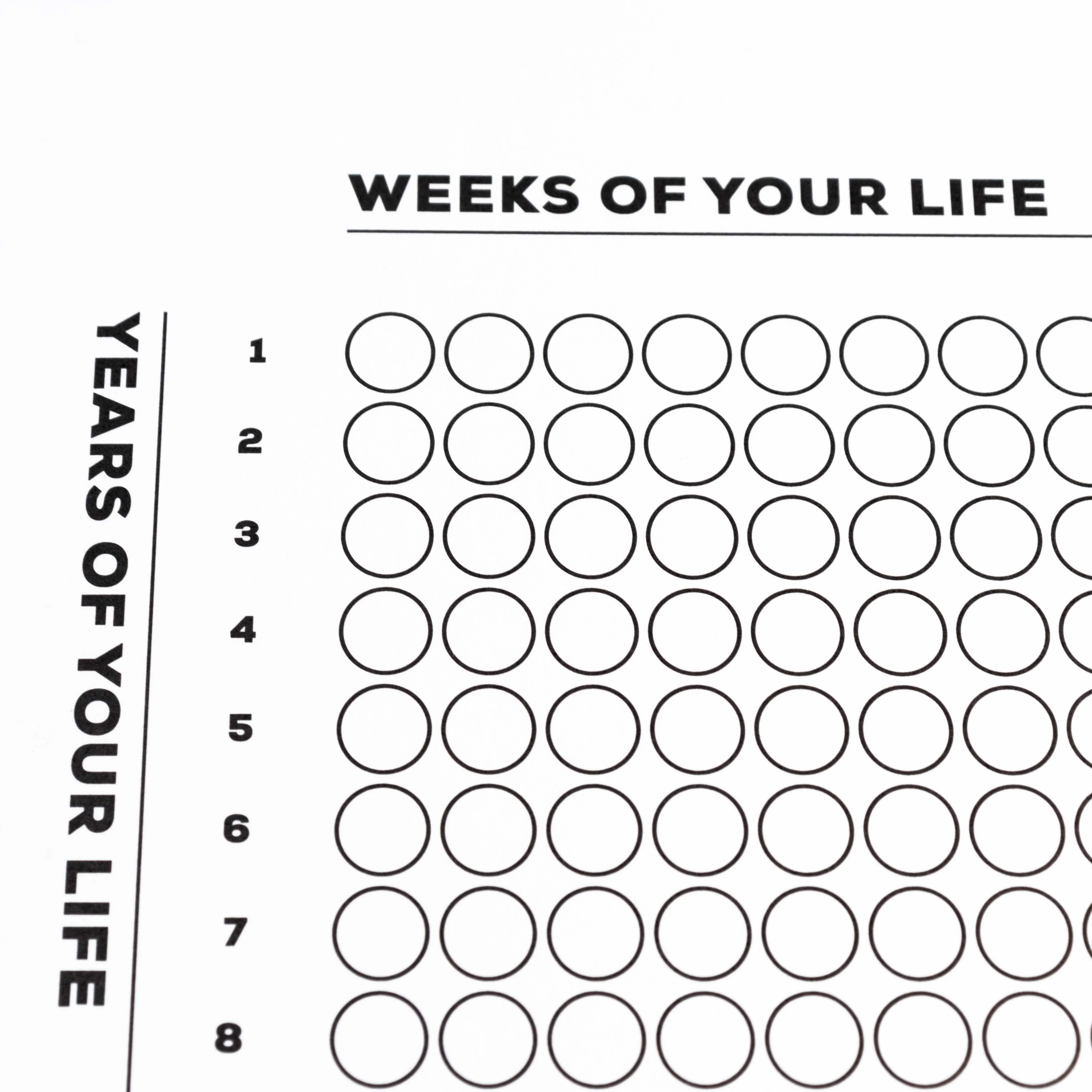 Calendar of Your Life Infographic Poster (B&W) - Image 5