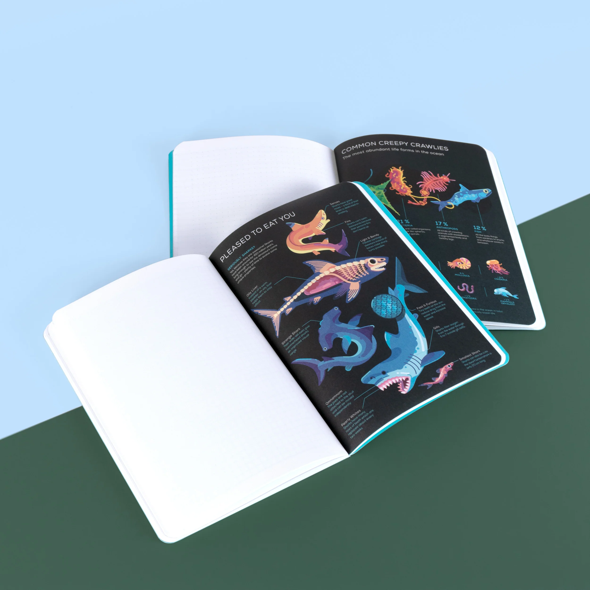 Ocean Explorer Notebook - Image 2